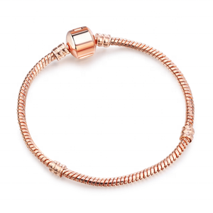 <span class=keywords><strong>Bracelet</strong></span> de haute qualité Cuir Vintage plaqué argent bracelets porte-bonheur Style européen chaîne de serpent Fit bricolage Bracelets fins pour les femmes - Product Image 2