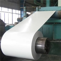 Bobine d'acier prélaqué de haute qualité à prix avantageux, 0,13 mm à 3 mm, certifiée JIS, avec services de pliage et de soudage