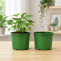 Pot Tanaman Kecil Lucu Diskon, Pot Pembibitan, Bonsai Urban, Budidaya Japandi, Pot Bunga Taman Mewah, PP Ringan, Lubang Drainase