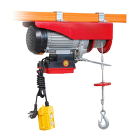 Palans électriques à faible bruit, anticorrosion, résistants à l'usure, certifiés IP54 CE, 110V 220V, 50 kg, pour la maison, l'entrepôt, le garage