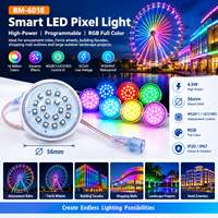 Éclairage paysager extérieur haute puissance 56 mm à LED RGB programmable et adressable WS2811 UCS1903 DC24V IP67 étanche