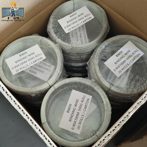 Dây Ràng Buộc 500g dây mạ kẽm 20 cuộn mỗi hộp - Product Image 2