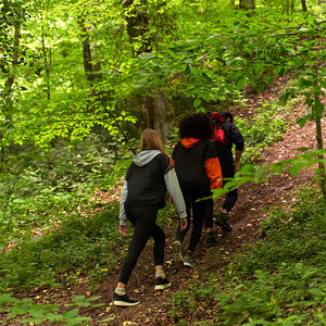 Merino Wool Five Toe <span class=keywords><strong>Socks</strong></span> para homens e mulheres - Product Image 6