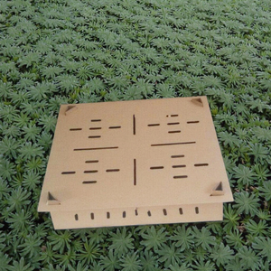 YOUMU Nuevas Cajas de Transporte para Pollitos de un Día, Jaulas de Cartón Perforado para Pollos - Product Image 3