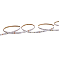 Haute qualité lumineux 5050 12V 24V RGBW RGBCW RGBWW 60 led bandes lumineuses bande extérieure led bandes lumineuses couleur numérique