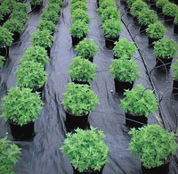Rouleau de tissu de protection contre les mauvaises herbes tissé en PP résistant aux UV pour le jardin et l'agriculture