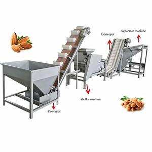 Machine à décortiquer les châtaignes, arachides, noisettes, haricots, cacahuètes blanchies et mangues pour la fabrication de beurre - Product Image 3