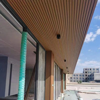 Panneaux de bardage extérieur en composite bois-plastique (WPC) alvéolés rainurés, co-extrudés, imperméables, ignifuges et insonorisés pour façades d'hôtels