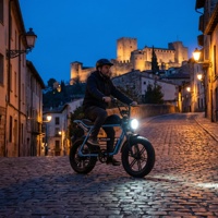 Vélo électrique rétro à pneus larges avec longue banquette, idéal pour la balade sur les pavés et les visites des quartiers historiques