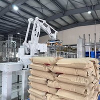 Paletizer Robot Portabel Otomatis Terkendali PLC dengan Penggerak Pneumatik Perlindungan IP54 untuk Pengpaletan Karton/Kotak/Tas