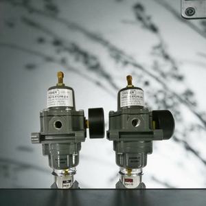 Régulateur de pression de gaz FISHER 67CFR 67CFR-239 Régulateur de filtre en acier inoxydable 67CFSR-239 - Product Image 6