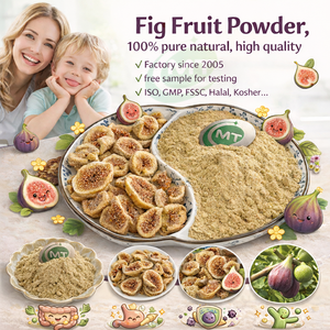 ผงผลไม้ฟิกจากโรงงานมาตรฐาน GMP FSSC, ผงฟิก 100% สำหรับสมูทตี้, เบเกอรี่, เครื่องดื่ม, ส่วนผสมของขนมขบเคี้ยว, ผงผลไม้ฟิกธรรมชาติ - Product Image 1