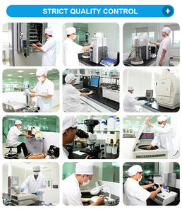 Alta potenza 400 miliardi di Cfu/G migliorano la salute orale e riducono l'infiammazione delle gengive con probiotico latticaseibacillus Paracasei - Product Image 5