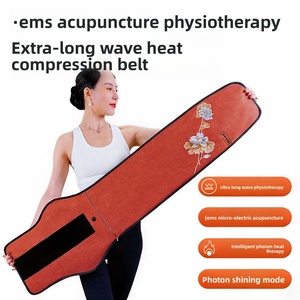 Cinturón de Microacupuntura EMS |   Dispositivo de Fisioterapia con Compresión Caliente y Presión de Aire |   Masajeador de Fitness de Temperatura Constante - Product Image 3