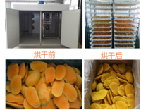 Déshydratation industrielle pour fruits et légumes / Sécheuse Machine de séchage des fruits Déshydrateur de fruits Machine de séchage des fruits