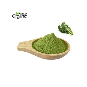 Poudre de chou frisé de haute qualité organique 99.9% Pure Kale Leaf Extract Kale Powder