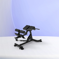 Chaise romaine réglable, équipement de fitness pour salle de sport, banc d'entraînement commercial, utilisation domestique, extension dorsale à cadre en acier