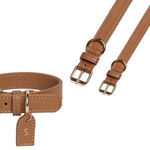 Collar y correa de cuero para perro, conjunto de lujo de diseñador personalizado, colorido, para entrenamiento, manos libres, para perros pequeños, medianos y grandes