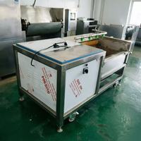 Automatische borstelrolwasmachine |   Groentewasser |   Fruitreiniger |   Voedselverwerkingsapparatuur