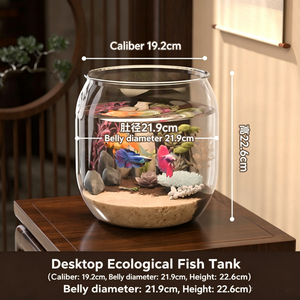 <span class=keywords><strong>Acquario</strong></span>, Vasca Ecologica Trasparente, Elemento Decorativo per Soggiorno, Paesaggio in Miniatura, <span class=keywords><strong>Acquario</strong></span> per Pesci Betta, Terrario per <span class=keywords><strong>Tartarughe</strong></span> - Product Image 4