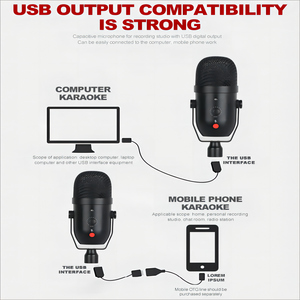 Microphone professionnel Demao A22, microphone de jeu, microphone d'enregistrement en <span class=keywords><strong>studio</strong></span>, microphone USB pour ordinateur, microphone à condensateur - Product Image 4