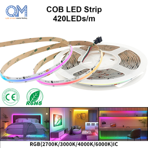 Tira de LED COB RGBIC Digital Direccionable al por Mayor, 420 LED, Color Completo, 24V, 10mm, para Proyectos de Iluminación Dinámica de Edificios y Monumentos - Product Image 1