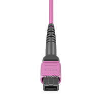 12 cœurs 12 brins 12 fibres centre de données OM4 connecteur de câble de sortie multi-mode MPO femelle vers cordon de raccordement à fibre optique LC