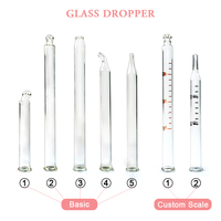 Bouteilles Compte-Gouttes en Verre Rectangulaires Plats de Luxe 15ml 30ml 50ml 100ml avec Collier Transparent Cristal pour Sérum Huile Essentielle
