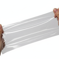 Sac sous vide en PE haute transparence avec logo personnalisé imprimé pour l'emballage alimentaire