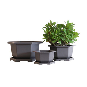 Macetas para Bonsái, Hexagonales, de Plástico con Malla Integrada para Entrenamiento de Plantas - Product Image 2