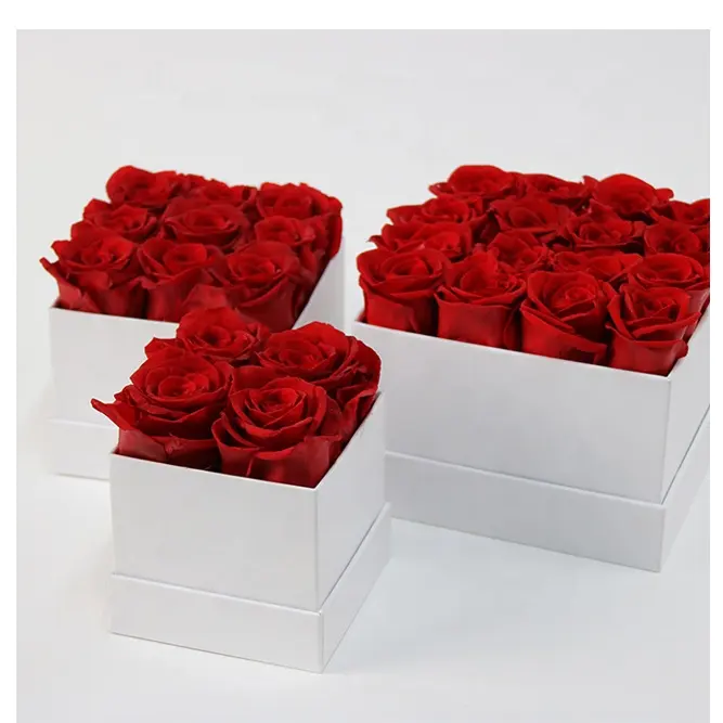 Regalo perfecto para el Día de San Valentín, rosas preservadas estabilizadas para siempre, infinito inmortal, en caja de regalo