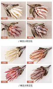 Exquisita Protea de Primera Calidad para Decoraciones de Eventos de Lujo, Perfecta para Decoraciones de Bodas Impresionantes y Decoraciones de Fiestas Memorables - Product Image 5