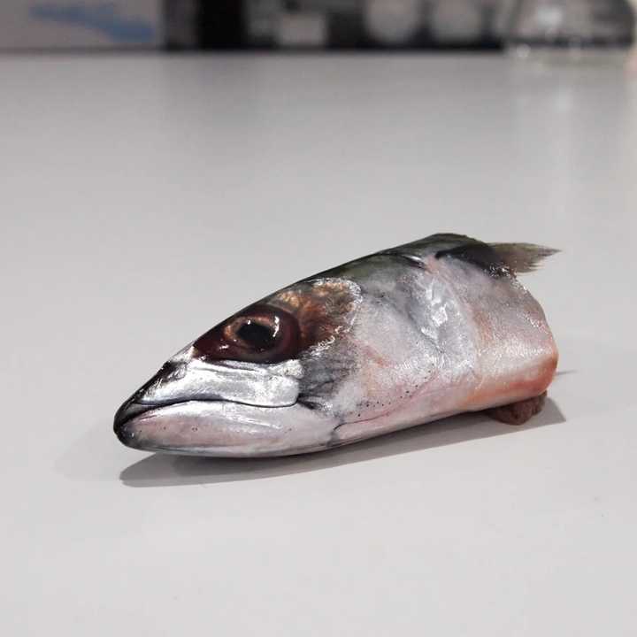 Frozen Spanish Mackerel Heads for Bait Trap Line Jigging Tuna Fishing Raw Fish Head Frozen Baitfish Supply for Export Bulk
