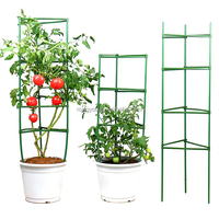 Cage de Support de Plante Grimpante Anneaux Réglables Treillis de Jardin Cage de Tomate pour Plante Support de Fleur
