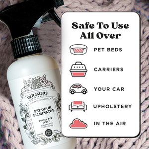 Éliminateur <span class=keywords><strong>de</strong></span> Taches et d'Odeurs pour Odeurs Fortes Enzyme Éliminateur d'Odeurs d'<span class=keywords><strong>Animaux</strong></span> pour la Maison Chats Chiens Pipi d'<span class=keywords><strong>Animaux</strong></span> Détruiteur d'Urine <span class=keywords><strong>de</strong></span> Chien Vaporisateur <span class=keywords><strong>de</strong></span> Taches <span class=keywords><strong>de</strong></span> Chat - Product Image 4