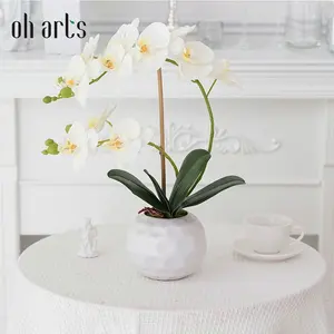 Cheap Oh Arts Artificial orchid flower Natural Touch Latex Moth Orchid Artificial Flower Butterfly Orchid