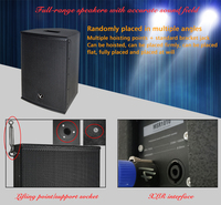 Système de sonorisation professionnel MSR1010 en contreplaqué robuste pour extérieur, 250W, noir, pour KTV et mariages de grande envergure