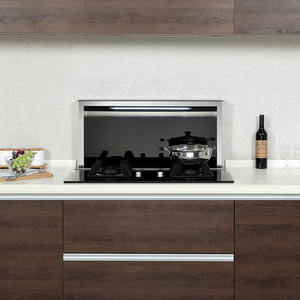 Conjunto de estufa de Gas con cubierta lateral integrada, sistema de elevación Stealth, protección ambiental, chimenea eléctrica SS - Product Image 4