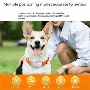 ปลอกคอสัตว์เลี้ยง GPS <span class=keywords><strong>พ</strong></span>ร้อมเทคโนโลยีแปล<span class=keywords><strong>ภาษา</strong></span>ด้วยเสียง <span class=keywords><strong>แอ</strong></span>ปตรวจสอบและติดตามตำแหน่งเพื่อความปลอดภัยของสุนัข - Product Image 6