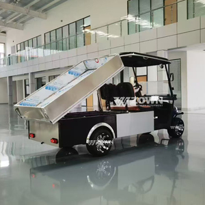 Carro de Golf Eléctrico de Alta Resistencia para 2 Personas, Motor de 48V 5KW, Alcance de 80KM, Ideal para Grandes Campos de Golf y Transporte Comercial - Product Image 2