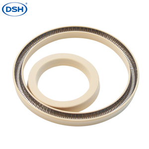 Dsh tiêu chuẩn gót chân rãnh con dấu mùa xuân tràn đầy sinh lực <span class=keywords><strong>PTFE</strong></span> con dấu cho thủy lực/Hệ thống khí nén - Product Image 1