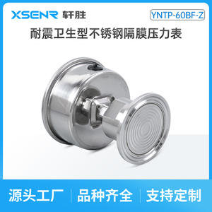 เกจวัดแรงดันไดอะแฟรม Suzhou Yntp 60Bf Z ขนาด 60 มม. สแตนเลสสตีล ความแม่นยำ 2.5  แบบติดตั้งแนวนอน - Product Image 3