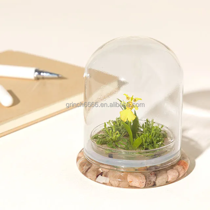OEM Orchid Terrarium - Thumbnail 4