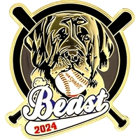 Épingles de collection pour équipes de softball en gros, badges personnalisés en métal émaillé pour casquettes de baseball et revers, épingles de collection personnalisées pour équipes de baseball
