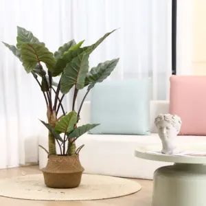 Yiwu-plantas de hoja de plástico decorativas para interiores, plantas artificiales importadas, bonsái Tropical de imitación, 140cm, venta al por mayor