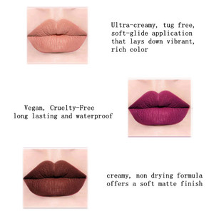 Nuevo Delineador de Labios Retráctil de Larga Duración, a Prueba de Manchas y Transferencias, con Etiqueta Privada - Product Image 5