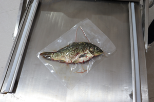 Machine d'emballage sous vide automatique à double chambre DZ600, prix industriel - Product Image 4