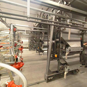 Jaulas automáticas para pollitos, jaula para criar pollitos, jaula para <span class=keywords><strong>pollos</strong></span> para calderas/pollitos ponedores - Product Image 3