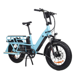 Venta caliente 250W 500W 750W Bicicletas eléctricas de carga Baterías duales 10Ah + 10Ah Bicicleta eléctrica de carga de largo alcance - Product Image 5