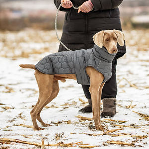 Chaqueta de Lujo para Perro Galgo de Poliéster, Abrigo de Moda para Mascotas de Primavera e Invierno, Diseño Elegante de Ropa para Cachorros - Product Image 3